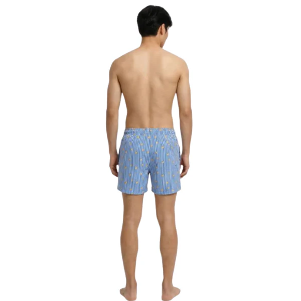 BAÑADOR JACK&JONES JPSTMAUI HOMBRE - Image 2