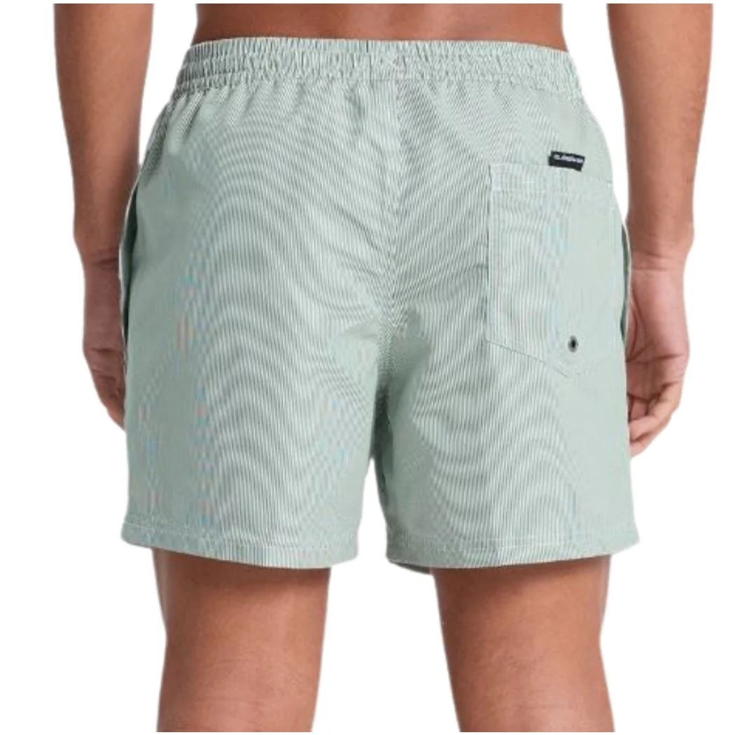 BAÑADOR QUIKSILVER DELUXE 15 HOMBRE - Image 2