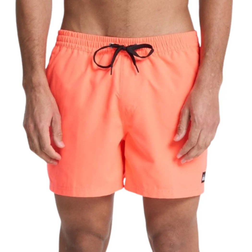 BAÑADOR QUIKSILVER EVERYDAY 15 HOMBRE
