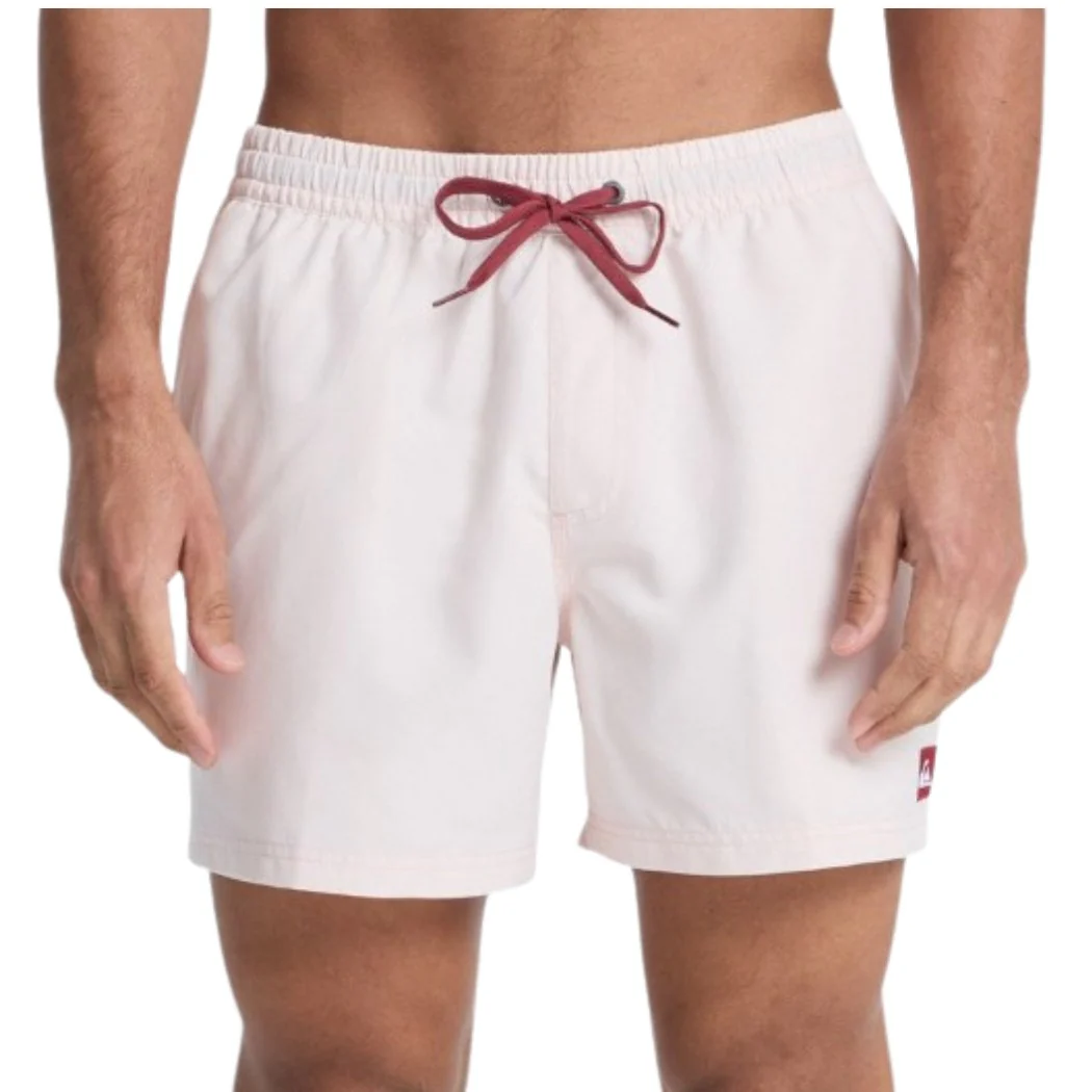 BAÑADOR QUIKSILVER EVERYDAY 15 HOMBRE