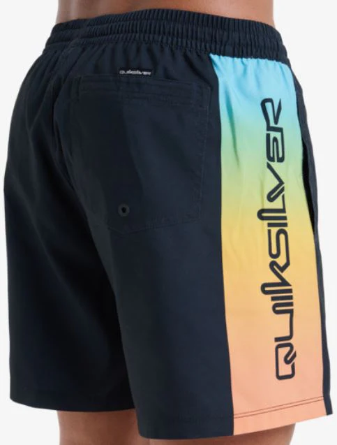 BAÑADOR QUIKSILVER EVERYDAY HOMBRE - Image 2