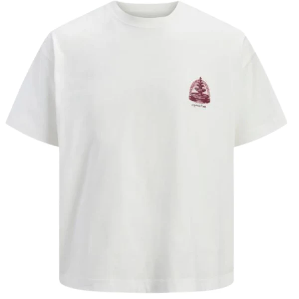 CAMISETA JACK&JONES JORMAINE HOMBRE - Image 3