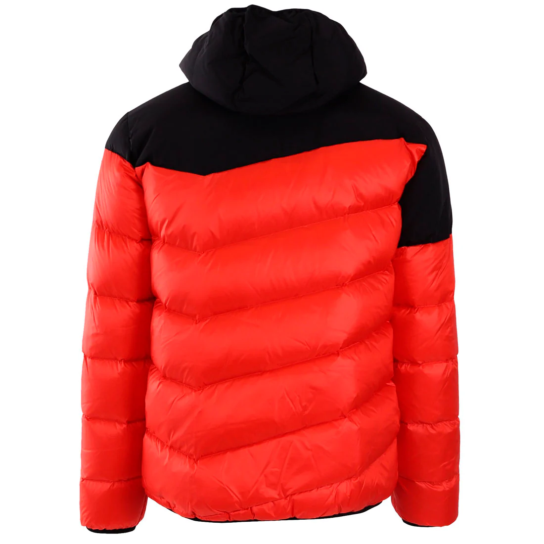 CHAQUETA BLAUER CORTA REVERSIBLE HOMBRE - Image 2