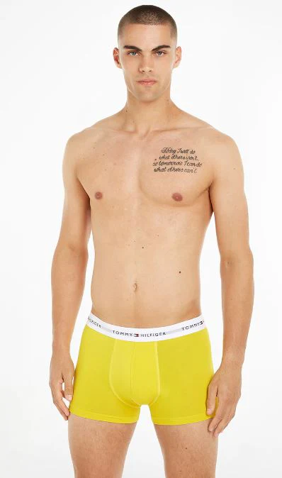 TRUNK PACK 3 TOMMY HILFIGER HOMBRE - Image 2